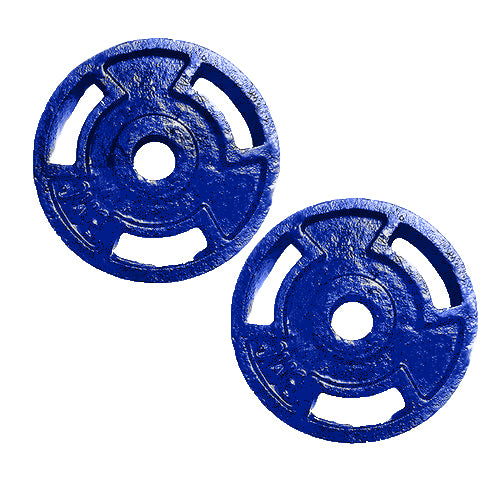 Cast Iron Weight Plates for Home Gym Exercises