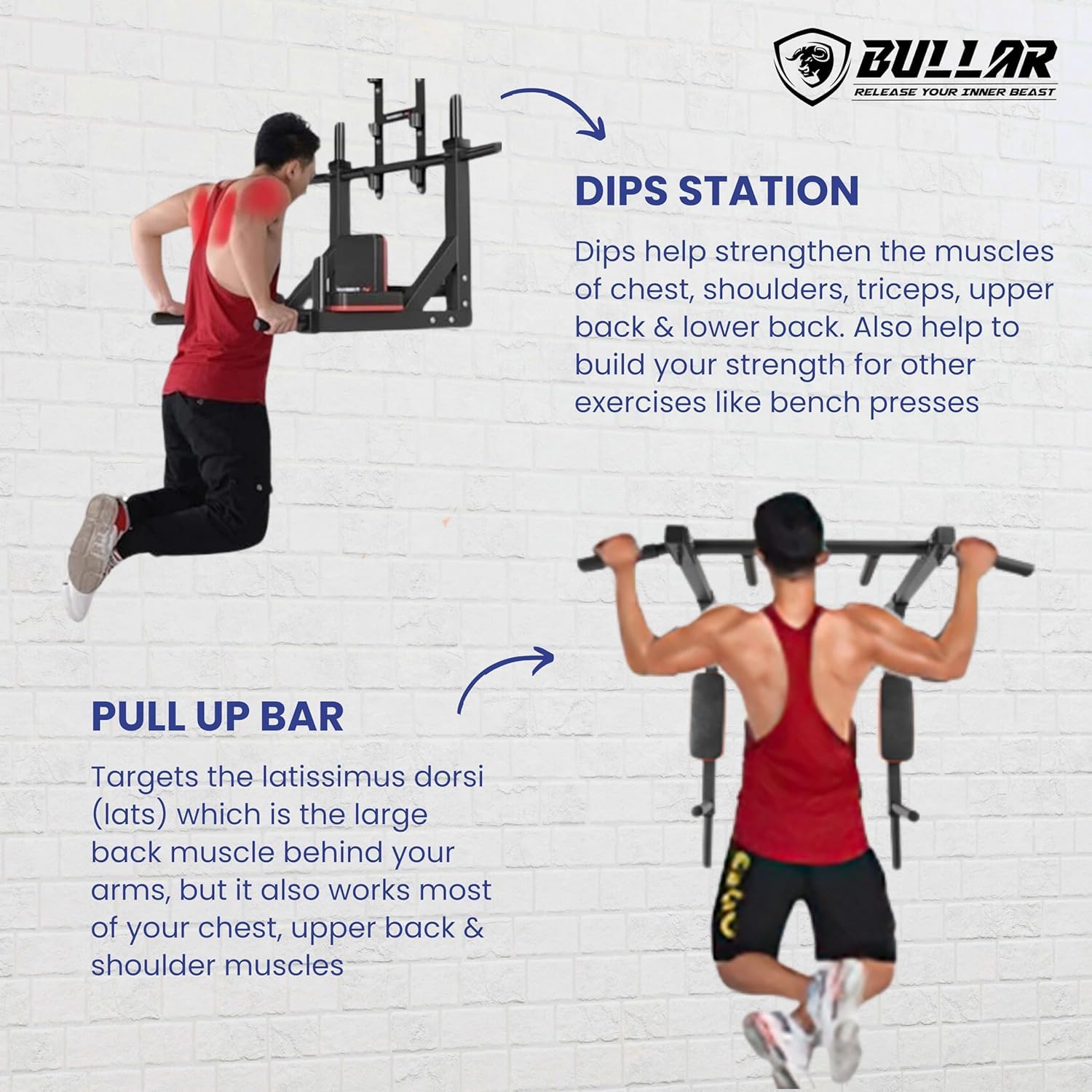 in Wall Mounted Pull Up Bar with Cushioned Arm Support