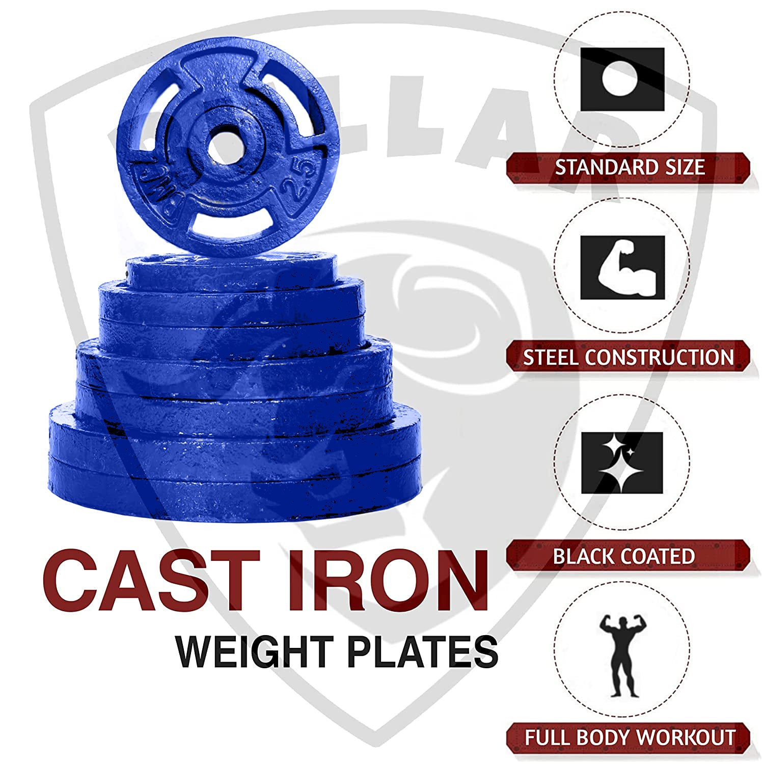 Adjustable Cast Iron Dumbbell Set with Weight Plates/Dumbbell Rods