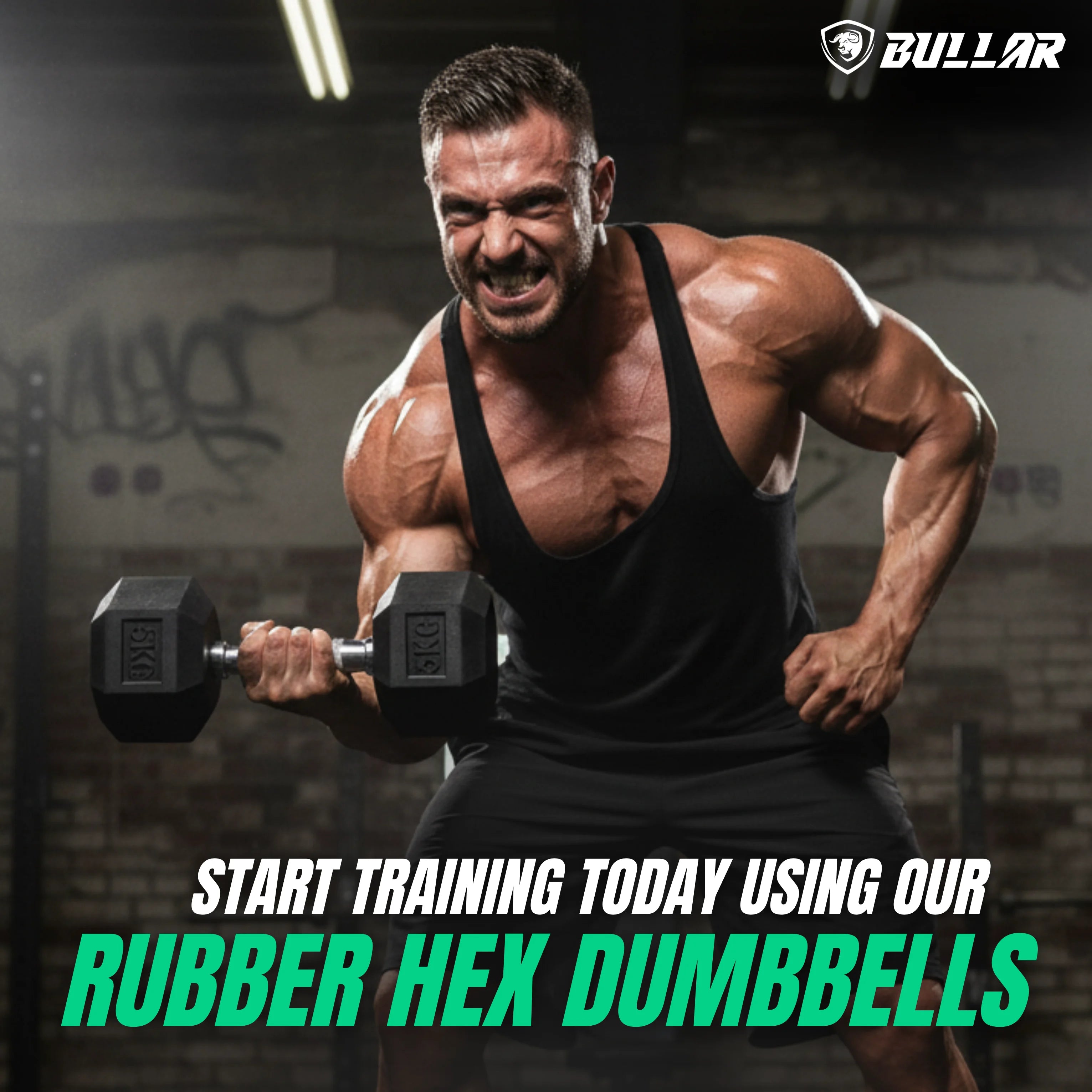 Rubber Coated Fixed Hex Dumbbells Set for Home Gym