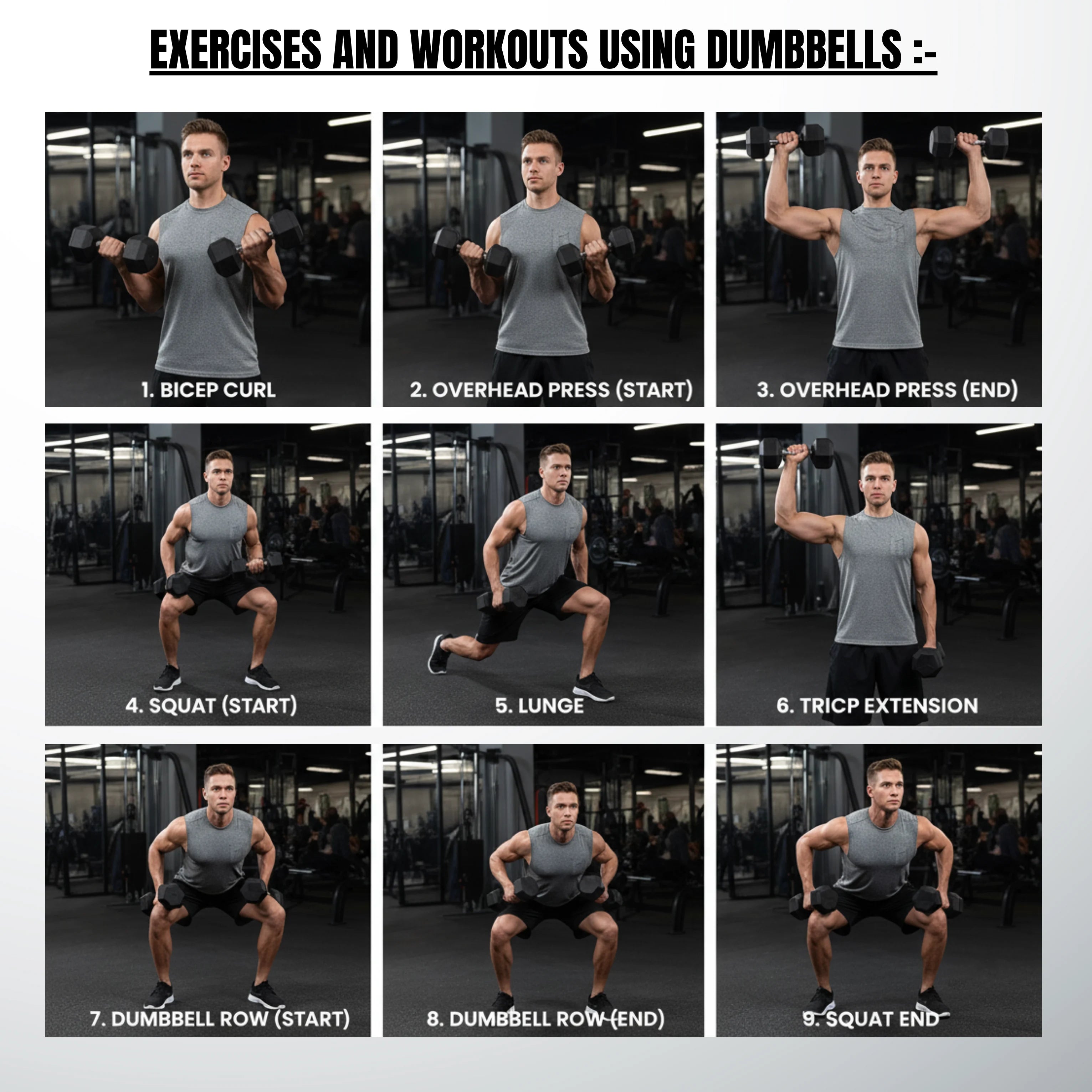 Rubber Coated Fixed Hex Dumbbells Set for Home Gym