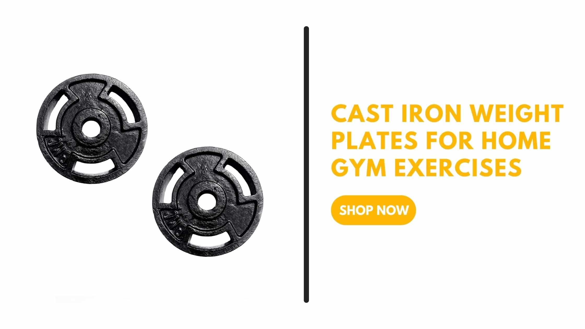 Iron weight plates discount for home gym